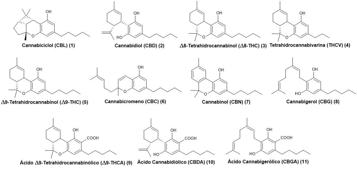 cannabinoids structure 